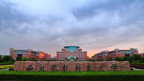 中国 最土 的985重点大学,学生还没报到就想退学,回校再造
